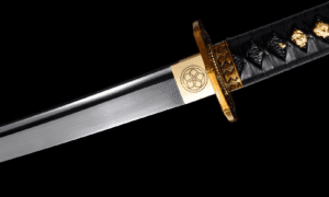 Akikaze Wakizashi Zwaard (赤風) – Koperen Wind