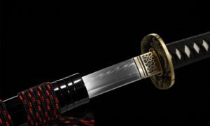 Tenshin Katana Zwaard (天心) – Hemels Hart